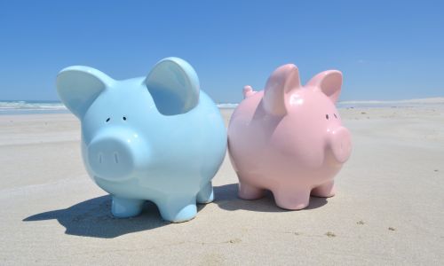 Honeymoon fund blue and pink piggy bank