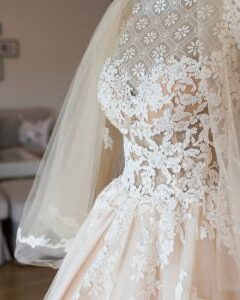 wedding dress and a veil