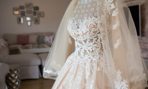 best wedding guest do not  critique the brides dress